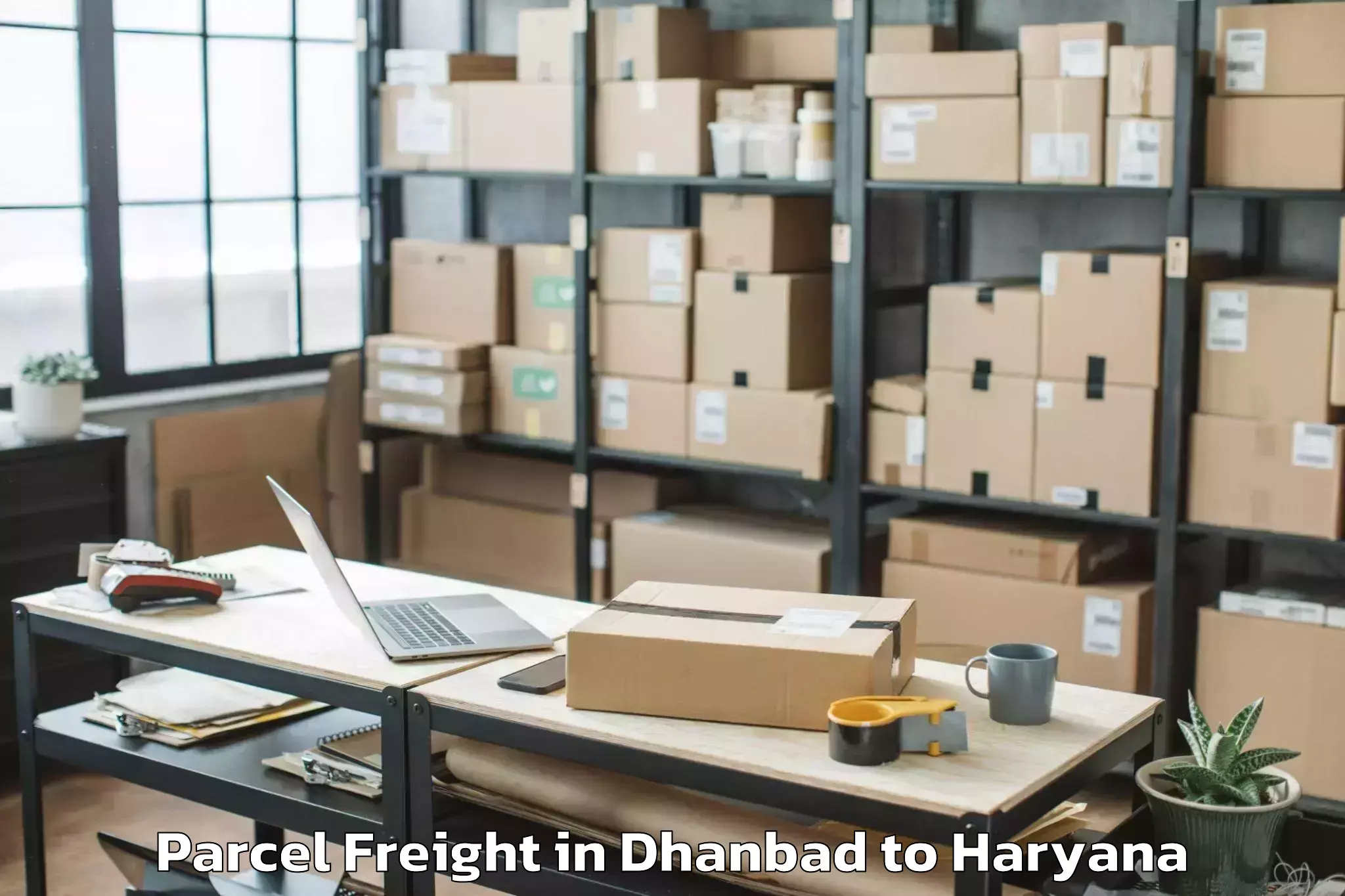 Book Dhanbad to Sampla Parcel Freight